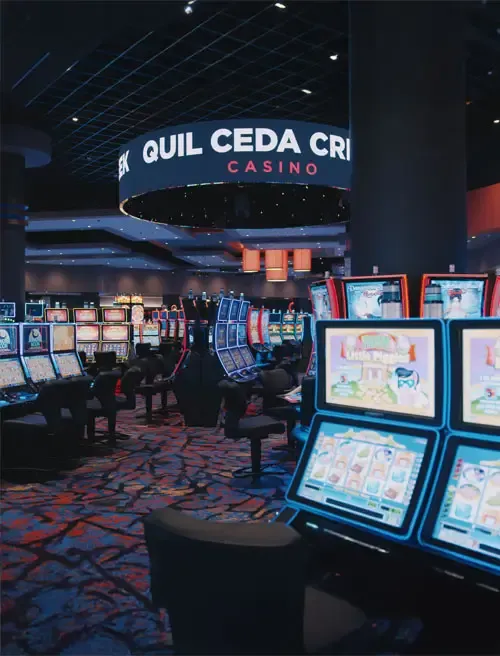 Bonus editorial still life